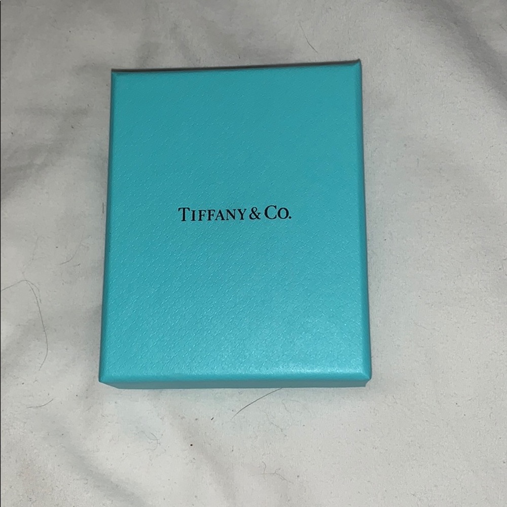 Tiffany & Co Box and Pouch